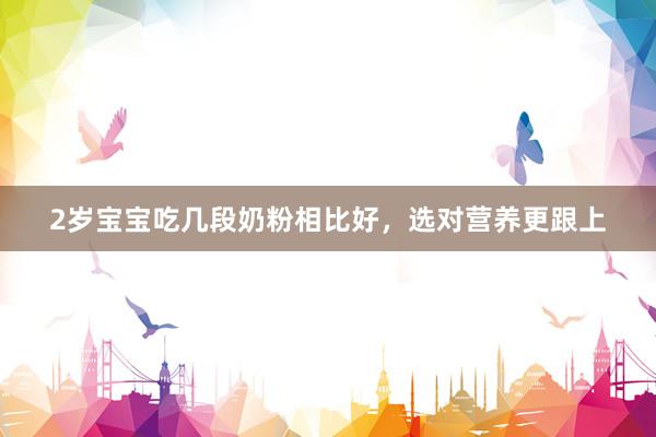 2岁宝宝吃几段奶粉相比好，选对营养更跟上